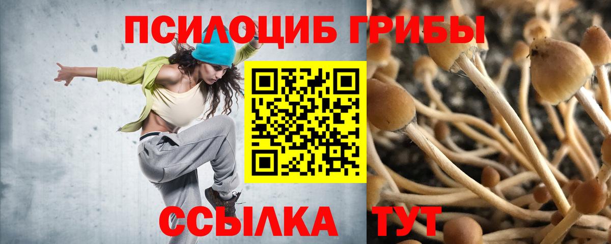 Псилоцибиновые грибы ЛСД Северобайкальск