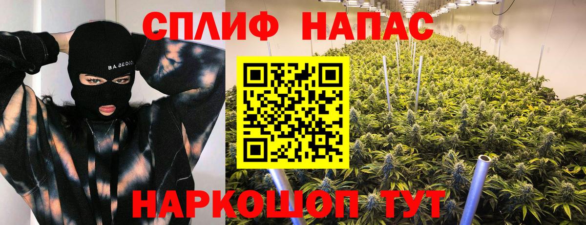 Конопля SATIVA & INDICA Северобайкальск